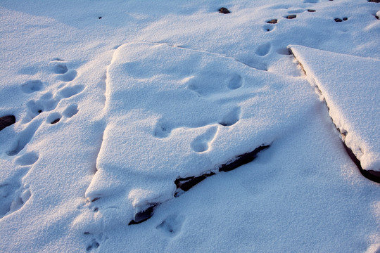 雪地