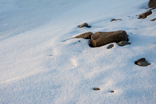 白雪