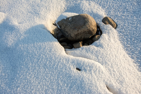 雪地