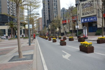 深圳马路