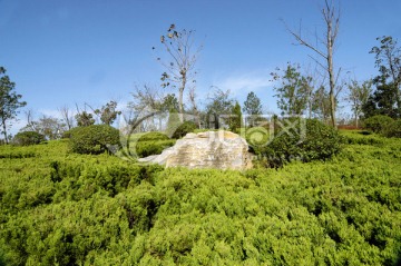 山东枣庄南方植物园