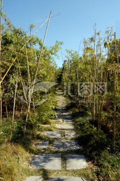 山东枣庄南方植物园