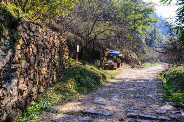 梅岭古道