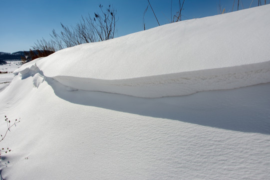 白雪