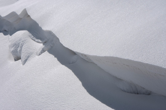 冬雪