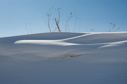 雪地