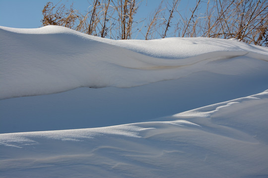 白雪
