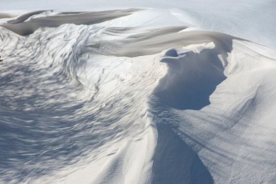 雪地