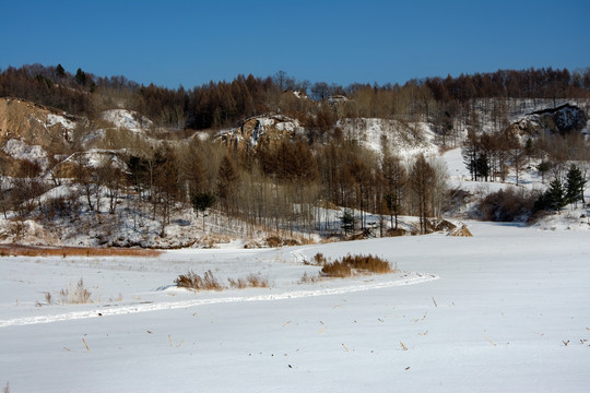 冬季山林