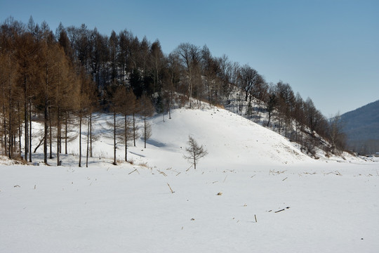 冬季山林