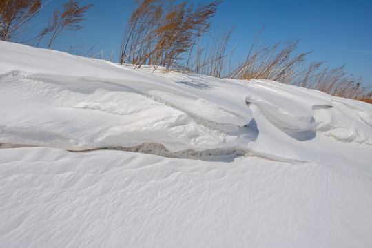 雪地