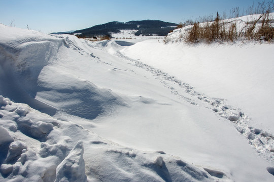 雪地