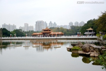 深圳荔枝公园风景