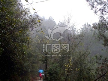 山林雨雾
