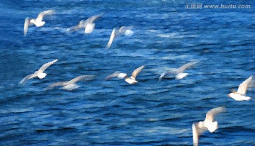 动感海鸥油画