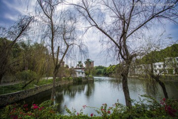 华南农业大学校区 河岸