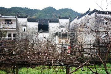 婺源民居