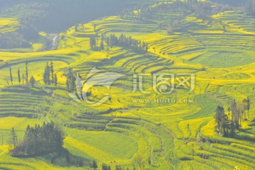 故乡的风景