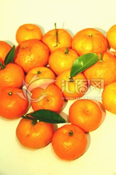 桔子 沙糖桔 橘子 柑橘 柑桔