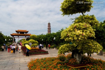 莲花山 广场