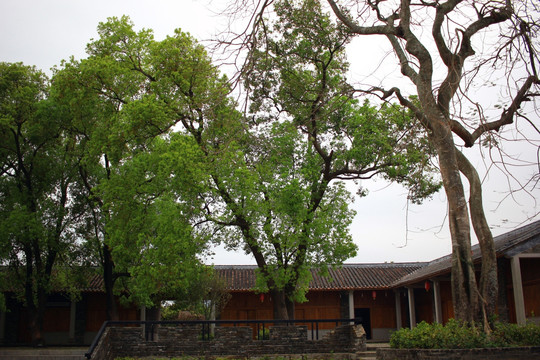 深圳大鹏所城古村