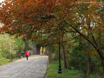 琅琊古道 峰回路转