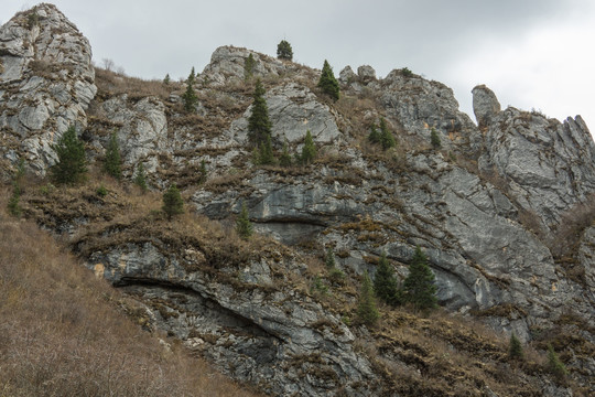 郎木寺山林峡谷