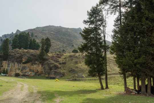 甘南郎木寺山林美景