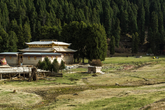 郎木寺纳摩峡谷牧场风光