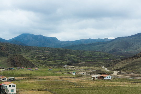 甘南旅游草原风光