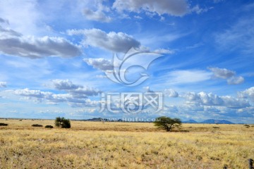 纳米比亚自然风光风景草原