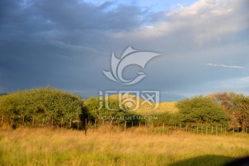 纳米比亚风光风景草原