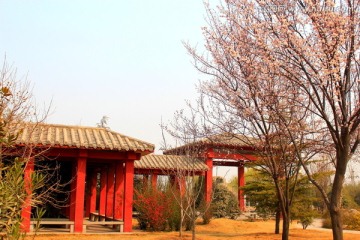 园林景观