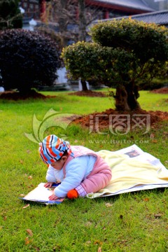 宝宝坐在草坪下玩耍