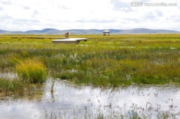 四川若尔盖花湖自然湿地