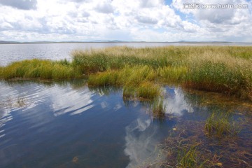 四川若尔盖花湖自然湿地