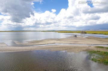 四川若尔盖花湖自然湿地
