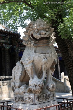 狮子