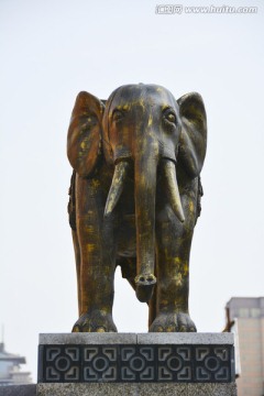 铜雕刻 铜大象