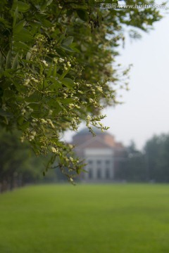 清华大学 大礼堂