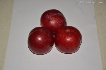 李子