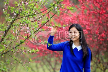 桃花树下的美女