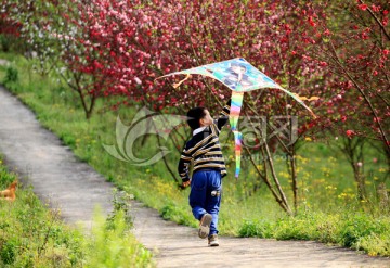 春游 田园儿童放风筝