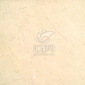 郁金香金叶米黄