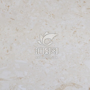 白蘑菇