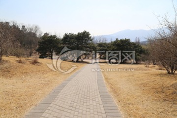 小路