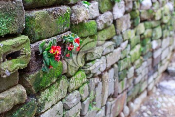 土砖墙上的花