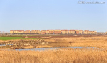 城市和湿地