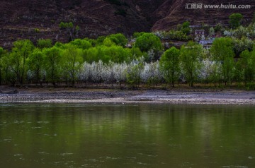 春天的河岸