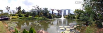 新加坡植物园180全景